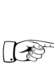 maglietta 