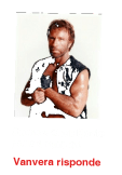 maglietta Chuck Norris