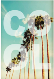 maglietta PalmTrees