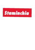 maglietta staminchia 