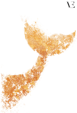 maglietta Orange Sea