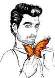 maglietta Butterfly papillon