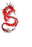 maglietta Red Dragon