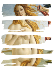 maglietta Botticelli’s