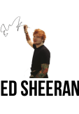 maglietta Ed Sheeran inspired look