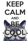 maglietta keep calm and be cool t-shirt