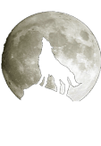 maglietta Moon And Wolf