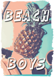 maglietta BEACH BOYS 