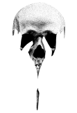 maglietta Skull Terror