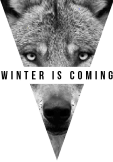 maglietta Winter is Coming