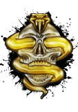 maglietta Skull snake