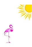 maglietta Flamingo•