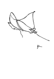 maglietta single line drawing from Scarperia - ray