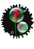 maglietta Bubbles & Roses