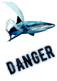 maglietta Danger