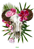 maglietta Tropical Bull Skull