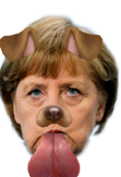 maglietta dogmerkel