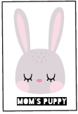 maglietta BUNNY