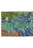 maglietta Iris - Van Gogh