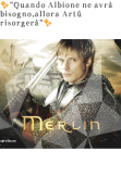 maglietta Merlin...