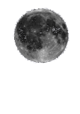 maglietta full moon 