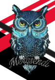 maglietta #merqsendi #owl #feather #bird #eagle #branded