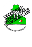 maglietta MisterCannabis