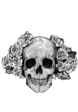 maglietta Skull