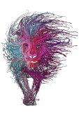 maglietta RAINBOW LION