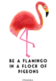 maglietta Flamingo