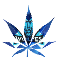 maglietta Maglietta ufficiale Wolves X1 Team (prima versione)