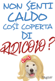 maglietta Non senti caldo? ????