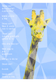 maglietta Giraffa