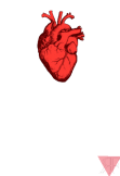 maglietta Real Human Heart 