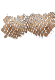 maglietta Fishnet Boobs