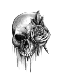 maglietta skull’n rose