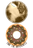 maglietta Donut Cat