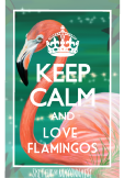 maglietta Flamingos