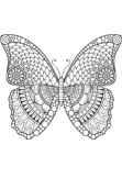 maglietta Butterfly mandala