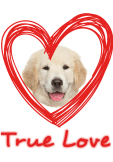 maglietta Love Dog