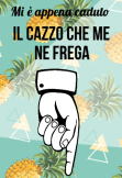 maglietta ops mi è caduto