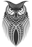 maglietta Owl 