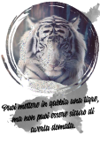 maglietta Tigre 