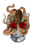 maglietta Skull Octopus