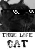maglietta Thug Life Cat