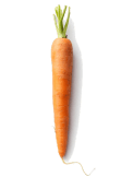maglietta Carrot