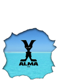 maglietta Alma1998 - Tropical sea