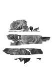 maglietta Black and white roses