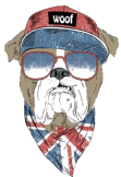 maglietta bulldog
