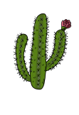 maglietta cactus